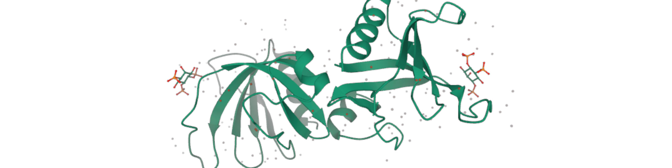 Essay cover, representing Review: Protein Structure Prediction