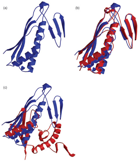 Protein prediction results from CASP6